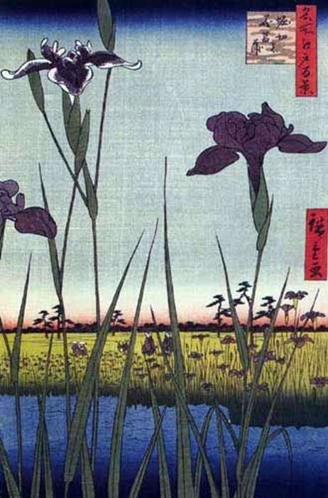 在Horikiri的鸢尾花   Ando Hiroshige