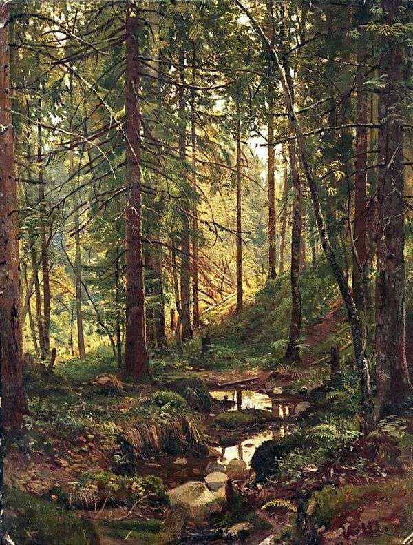 在森林里流。Siverskaya   Ivan Shishkin